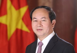  Chủ tịch nước Trần Đại Quang trả lời phỏng vấn báo chí Ai Cập
