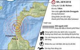 Nạn nhân thiệt mạng trong động đất, sóng thần tại Indonesia lên tới 384 người