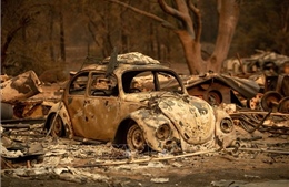 Lại bùng phát cháy rừng tại bang California, Mỹ