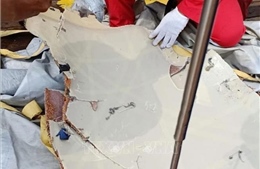 Indonesia lập tức mở chiến dịch tìm kiếm, hy vọng cứu sống các nạn nhân vụ máy bay rơi