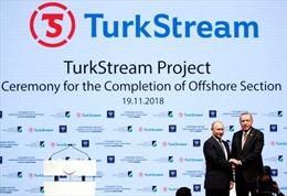 Nga, Thổ Nhĩ Kỳ khánh thành tuyến đường ống khí đốt dưới biển