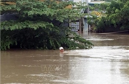 Vùng trũng Phước Nam, Ninh Thuận ngập sâu hơn 1m do hoàn lưu bão