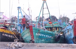 Ảnh hưởng bão số 9: Một số thuyền máy ở Phan Thiết bị chìm, hư hỏng