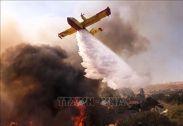 Sau 6 ngày huy động tổng lực dập, thảm họa cháy rừng bang California vẫn chưa được khống chế