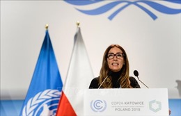 Chile thay Brazil đăng cai tổ chức Hội nghị COP 25