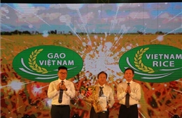 Công bố logo thương hiệu gạo Việt Nam