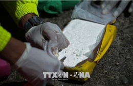Italy thu giữ 2 tấn cocaine vận chuyển từ Colombia