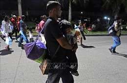 Hàng trăm người Honduras bắt đầu hành trình đi tìm &#39;Giấc mơ Mỹ&#39;