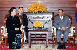 Chủ tịch Quốc hội Nguyễn Thị Kim Ngân hội kiến Chủ tịch Thượng viện Campuchia