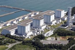 Nhật Bản sử dụng robot kiểm tra nhiên liệu phóng xạ tại nhà máy Fukushima