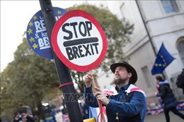 Trên 1 triệu người Anh kiến nghị ngừng Brexit