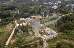 Thanh tra Hà Nội chỉ ra nhiều sai phạm trong quản lý đất rừng Sóc Sơn