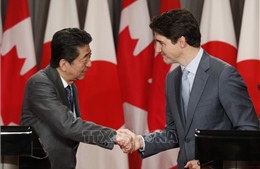 Nhật Bản và Canada khẳng định CPTPP &#39;mang lại lợi ích to lớn&#39;
