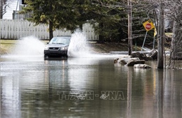 Lũ lụt trên diện rộng ở Canada, trên 1.000 người phải sơ tán