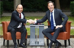 Mở rộng, làm sâu sắc hơn nữa mối quan hệ hợp tác Việt Nam - Hà Lan 