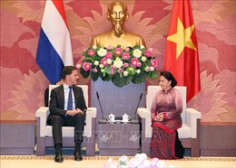 Chủ tịch Quốc hội Nguyễn Thị Kim Ngân hội kiến Thủ tướng Vương quốc Hà Lan