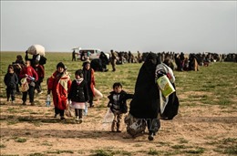 Nhiều tổ chức viện trợ phải ngừng hoạt động do bạo lực gia tăng tại Syria