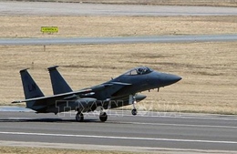 Saudi Arabia và Mỹ diễn tập không quân trên Vịnh Arab