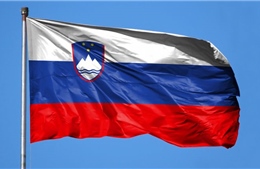 Tổng Bí thư, Chủ tịch nước Nguyễn Phú Trọng gửi điện mừng Quốc khánh Slovenia