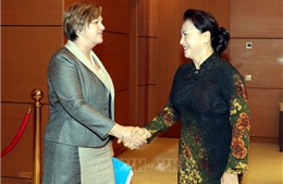 Chủ tịch Quốc hội Nguyễn Thị Kim Ngân tiếp Trưởng đại diện UNICEF tại Việt Nam