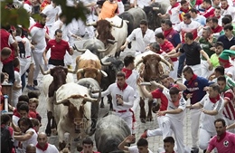 Nhiều người nhập viện trong lễ hội rượt bò tót ở Tây Ban Nha