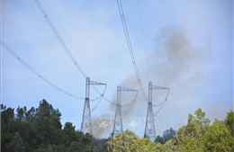 Cháy rừng đe dọa hệ thống truyền tải điện quốc gia như thế nào?