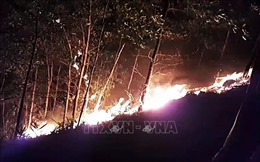 Nỗ lực khống chế đám cháy rừng ở huyện Hiệp Đức, Quảng Nam