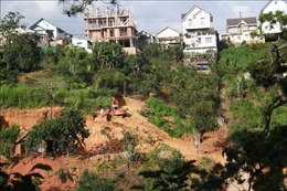 Tràn lan san ủi, phân lô đất nền trái phép tại Đà Lạt