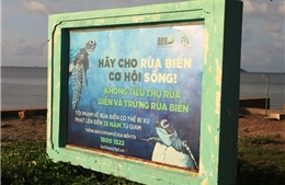 Phát triển bền vững Vườn quốc gia Côn Đảo - Bài cuối: Ngăn chặn ô nhiễm và suy giảm tài nguyên