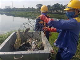 Cá chết tại hồ Yên Sở, Hà Nội