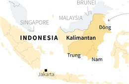 Tổng thống Indonesia trình kế hoạch chuyển thủ đô tới đảo Borneo
