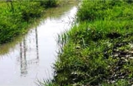 Đắk Lắk: Hai cậu cháu đuối nước thương tâm khi đi bắt cua 