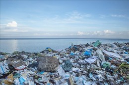 Xây dựng Kế hoạch hành động quốc gia về giảm rác thải nhựa đại dương đến năm 2030