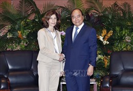 Thủ tướng: Việt Nam trân trọng lắng nghe các ý kiến tư vấn của cộng đồng quốc tế