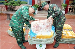 Bắt giữ 450 kg nầm lợn nhập lậu tại biên giới Lạng Sơn