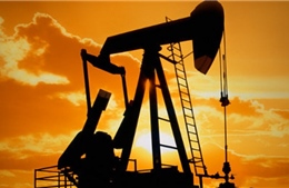 Indonesia công bố danh tính nghi can vụ bê bối &#39;mafia dầu mỏ&#39;