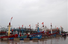 Bình Định không cho phép đóng mới tàu cá dưới 6 m