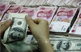 Dự báo đồng NDT vẫn &#39;kẹt&#39; ở mức 7 NDT/USD
