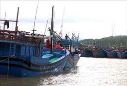 Thừa Thiên - Huế và Ninh Thuận cấm biển đề phòng bão số 5 đổ bộ