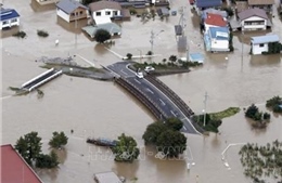 Siêu bão Hagibis: Nhật Bản tăng cường các nỗ lực tìm kiếm cứu hộ