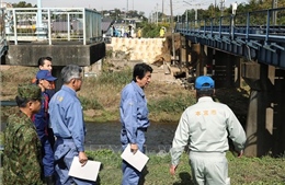 Chính phủ Nhật Bản lập chương trình hỗ trợ các nạn nhân của siêu bão Hagibis 