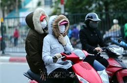 Mùa đông năm nay có xu hướng ấm hơn