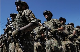 Chính phủ Ukraine và lực lượng ly khai bắt đầu rút quân khỏi khu vực miền Đông