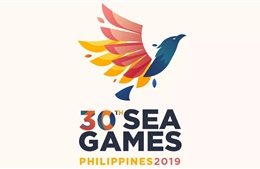 Lịch thi đấu SEA Games 30