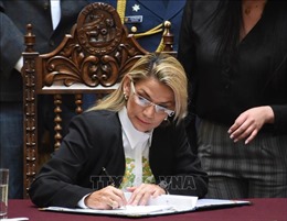 Tổng thống lâm thời Bolivia ký ban hành luật tổ chức tổng tuyển cử