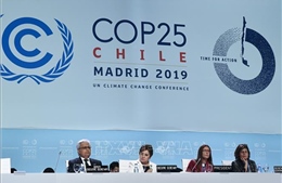 COP 25 - Cơ hội bị đánh mất