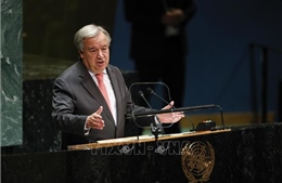 Đại hội đồng Liên hợp quốc thông qua 4 nghị quyết ủng hộ Palestine