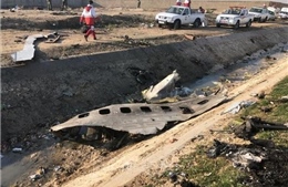 Phần lớn nạn nhân vụ rơi máy bay Ukraine là người Iran