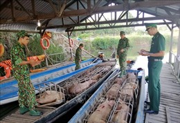 Thủ đoạn mới của các đối tượng buôn lậu vùng biên Campuchia - Việt Nam