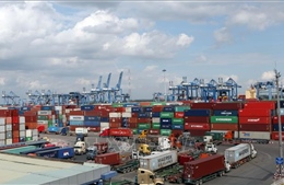 Khu vực ngoài nhà nước là động lực tăng trưởng xuất khẩu của TP Hồ Chí Minh